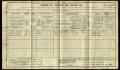 UK Census 1911 - William McIntyre.jpg