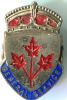 WWII - General Service Pin