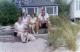 Photo - 1958 - Edna Bluhm, Mary Caddick, Ruth Master, Jack Hannenburg - Woodland Beach.jpg Photo - 1958 - Edna Bluhm, Mary Caddick, Ruth Master, Jack Hannenburg - Woodland Beach.jpg